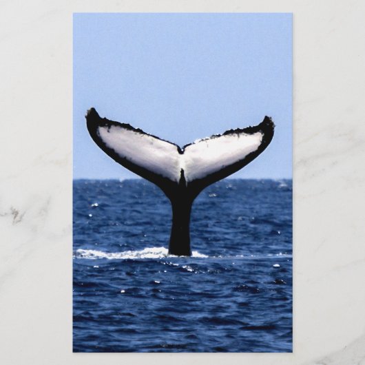 ザトウクジラ海 便箋 (正面)