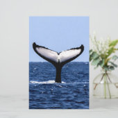 ザトウクジラ海 便箋 (スタンド正面)