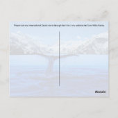 ザトウクジラ聖書の詩 – はがき (裏面)