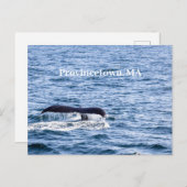 ザトウクジラ葉書 ポストカード (正面/裏面)