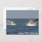 ザトウクジラ離型はがき ポストカード (正面/裏面)