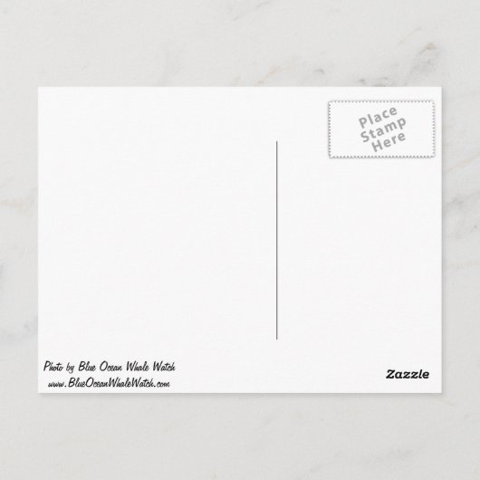 ザトウクジラ離型はがき ポストカード (裏面)