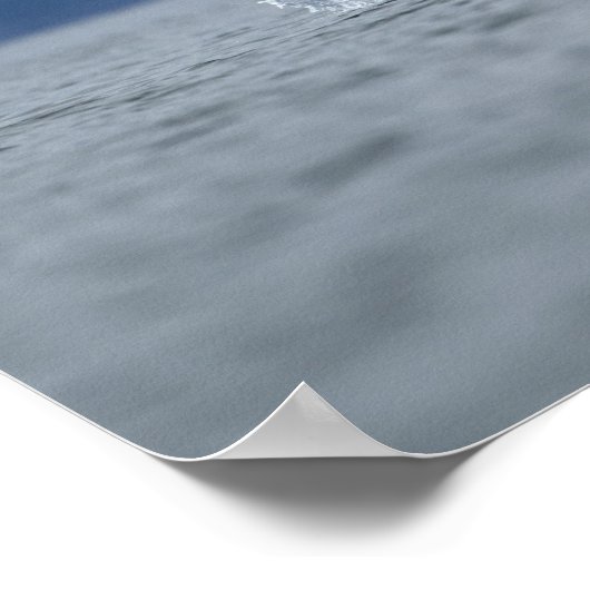 ザトウクジラ2 ポスター (角)