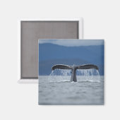 ザトウクジラ2 マグネット (正面/裏面)