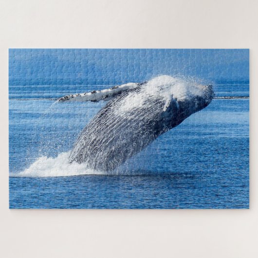 ザトウクジラ アラスカ ジグソーパズル (横)
