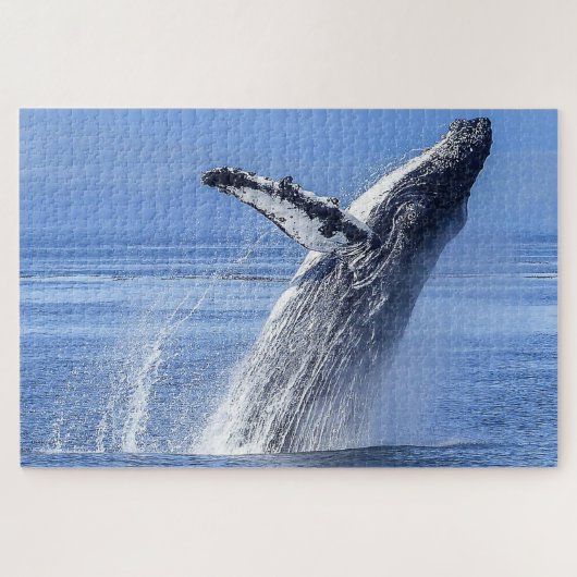 ザトウクジラ アラスカ ジグソーパズル (横)