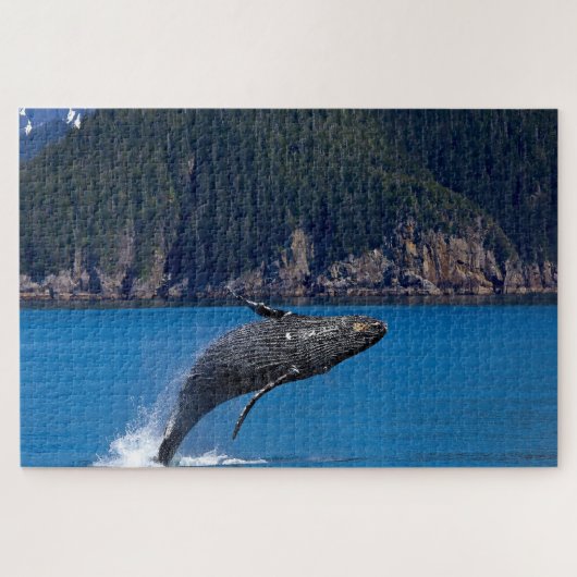 ザトウクジラ アラスカ ジグソーパズル (横)