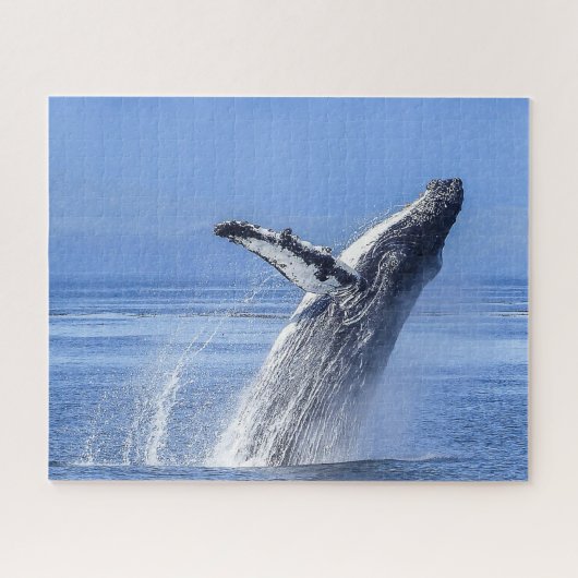 ザトウクジラ アラスカ ジグソーパズル (横)