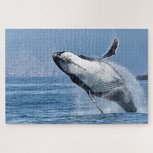 ザトウクジラ アラスカ ジグソーパズル (横)