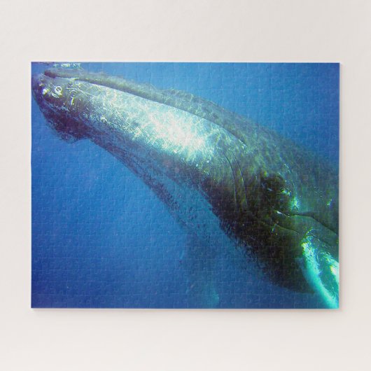 ザトウクジラ　アラスカ ジグソーパズル (横)
