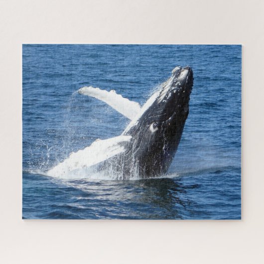 ザトウクジラ アラスカ ジグソーパズル (横)