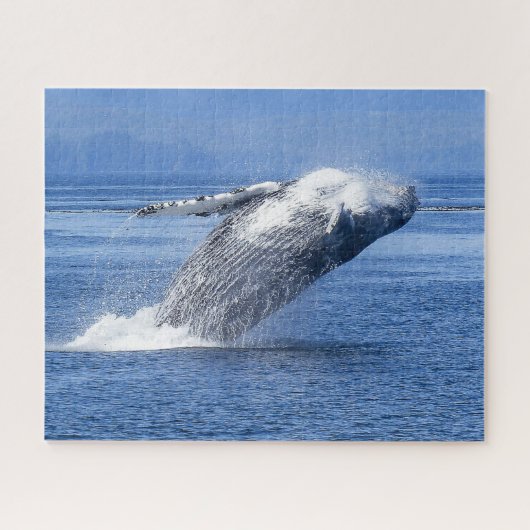 ザトウクジラ アラスカ ジグソーパズル (横)
