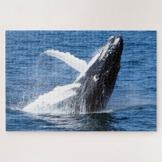ザトウクジラ アラスカ ジグソーパズル (横)