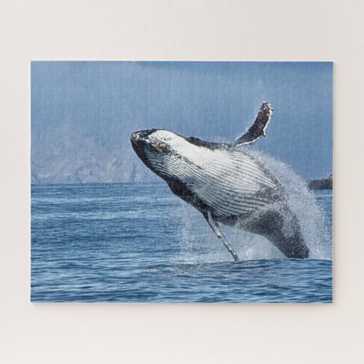 ザトウクジラ アラスカ ジグソーパズル (横)