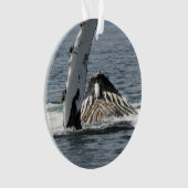 ザトウクジラ オーナメント (正面)