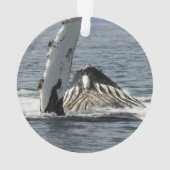 ザトウクジラ オーナメント (裏面)