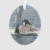 ザトウクジラ オーナメント (正面)