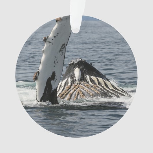 ザトウクジラ オーナメント (正面)