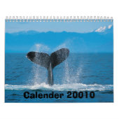 ザトウクジラ、カレンダー20010 カレンダー (カバー)