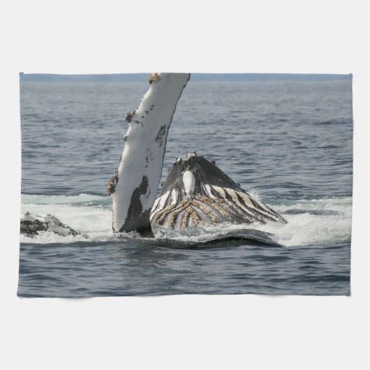 ザトウクジラ キッチンタオル (横)