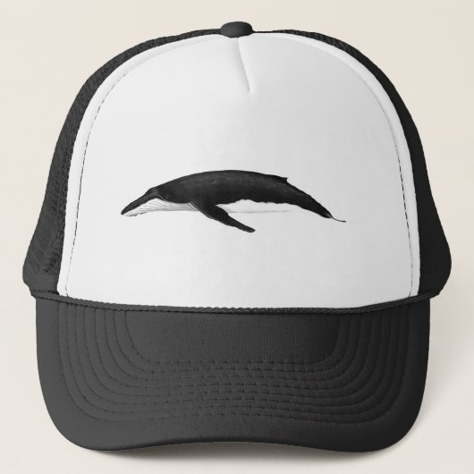 ザトウクジラ キャップ (正面)