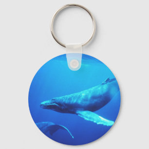 ザトウクジラ キーホルダー