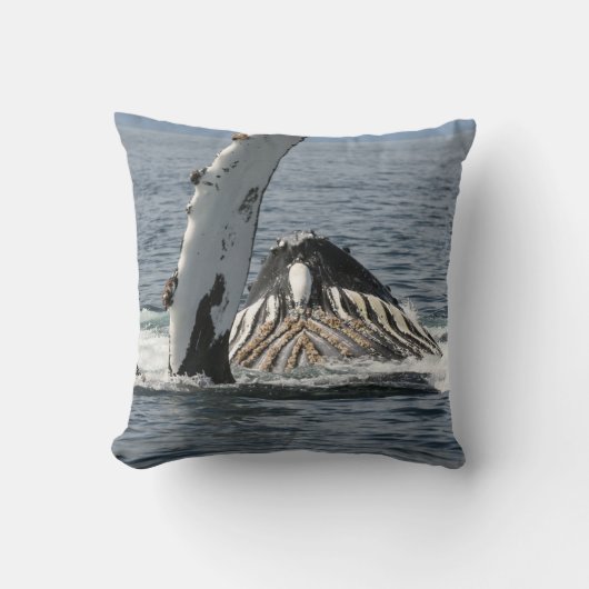 ザトウクジラ クッション (正面)