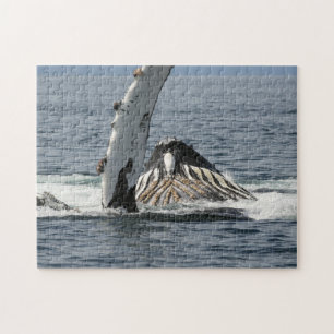 ザトウクジラ ジグソーパズル
