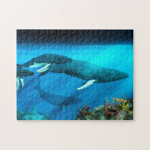 ザトウクジラ ジグソーパズル