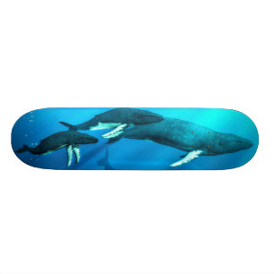 ザトウクジラ スケートボード