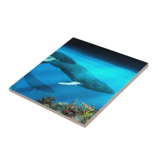 ザトウクジラ タイル (側面)