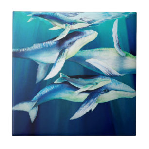 ザトウクジラ タイル