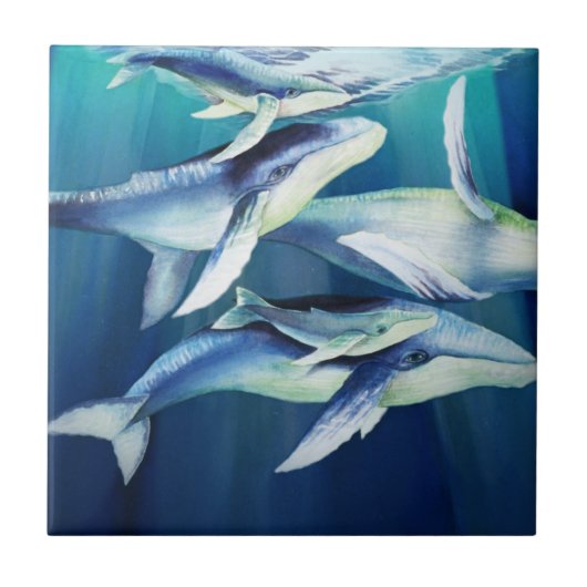 ザトウクジラ タイル (正面)