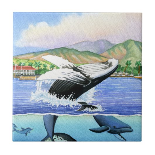 ザトウクジラ タイル (正面)