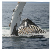 ザトウクジラ タイル (正面)