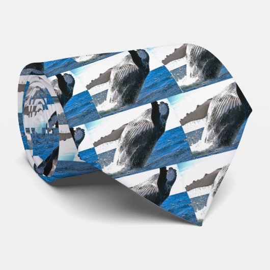 ザトウクジラ ネクタイ (ロール)