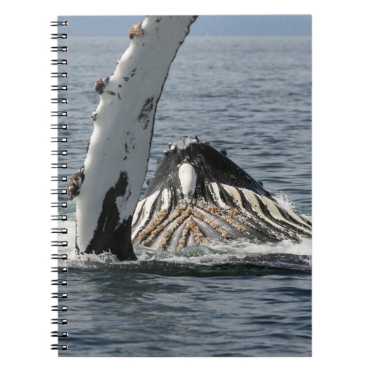 ザトウクジラ ノートブック (正面)