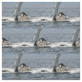 ザトウクジラ ファブリック (見本)