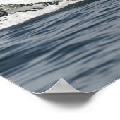 ザトウクジラ ポスター (角)