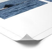 ザトウクジラ ポスター (角)