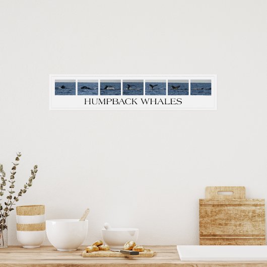 ザトウクジラ ポスター (キッチン)