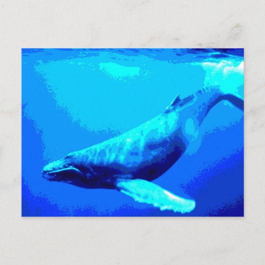 ザトウクジラ ポストカード (正面)