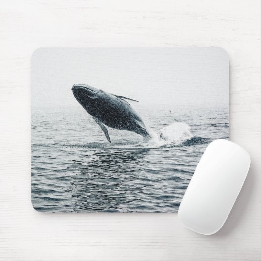 ザトウクジラ マウスパッド (マウス)