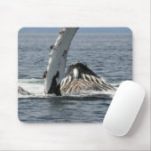ザトウクジラ マウスパッド (マウス)