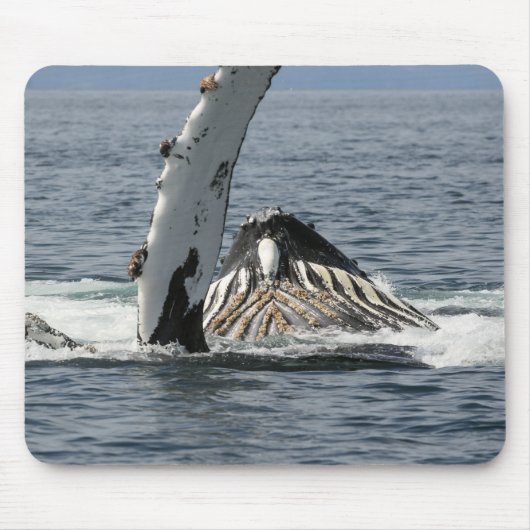 ザトウクジラ マウスパッド (正面)