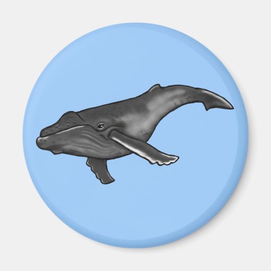 ザトウクジラ マグネット (正面)