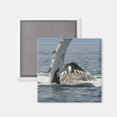ザトウクジラ マグネット (正面/裏面)