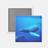 ザトウクジラ マグネット (正面/裏面)