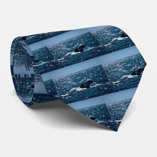 ザトウクジラ、メキシコ ネクタイ (ロール)