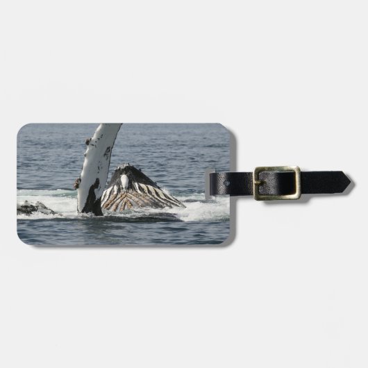 ザトウクジラ ラゲッジタグ (正面横)